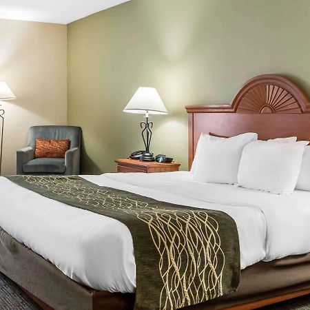 Comfort Inn Pine Grove I-81 Hershey Area Esterno foto