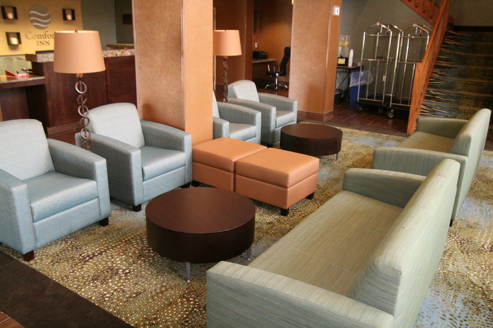 Comfort Inn Pine Grove I-81 Hershey Area Esterno foto